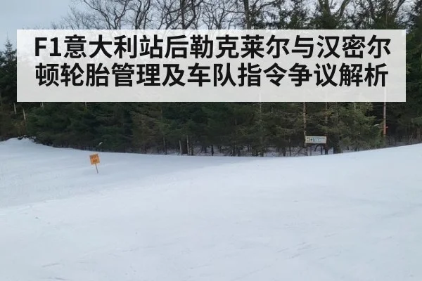 F1意大利站后勒克莱尔与汉密尔顿轮胎管理及车队指令争议解析 - nine game