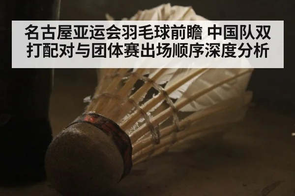 名古屋亚运会羽毛球前瞻 中国队双打配对与团体赛出场顺序深度分析 - nine game