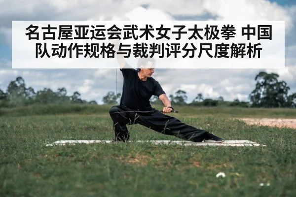 名古屋亚运会武术女子太极拳 中国队动作规格与裁判评分尺度解析 - nine game