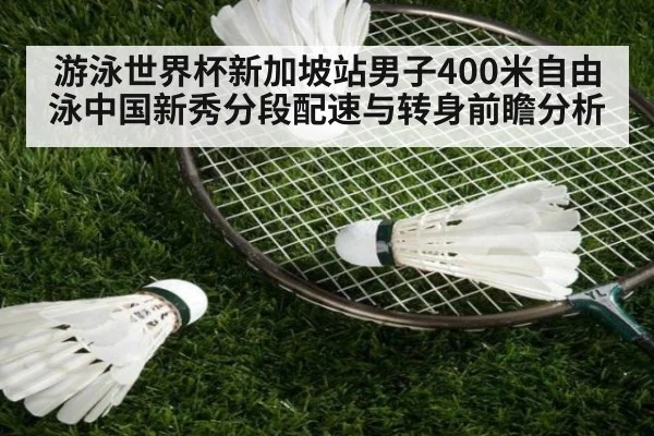 游泳世界杯新加坡站男子400米自由泳中国新秀分段配速与转身前瞻分析 - nine game